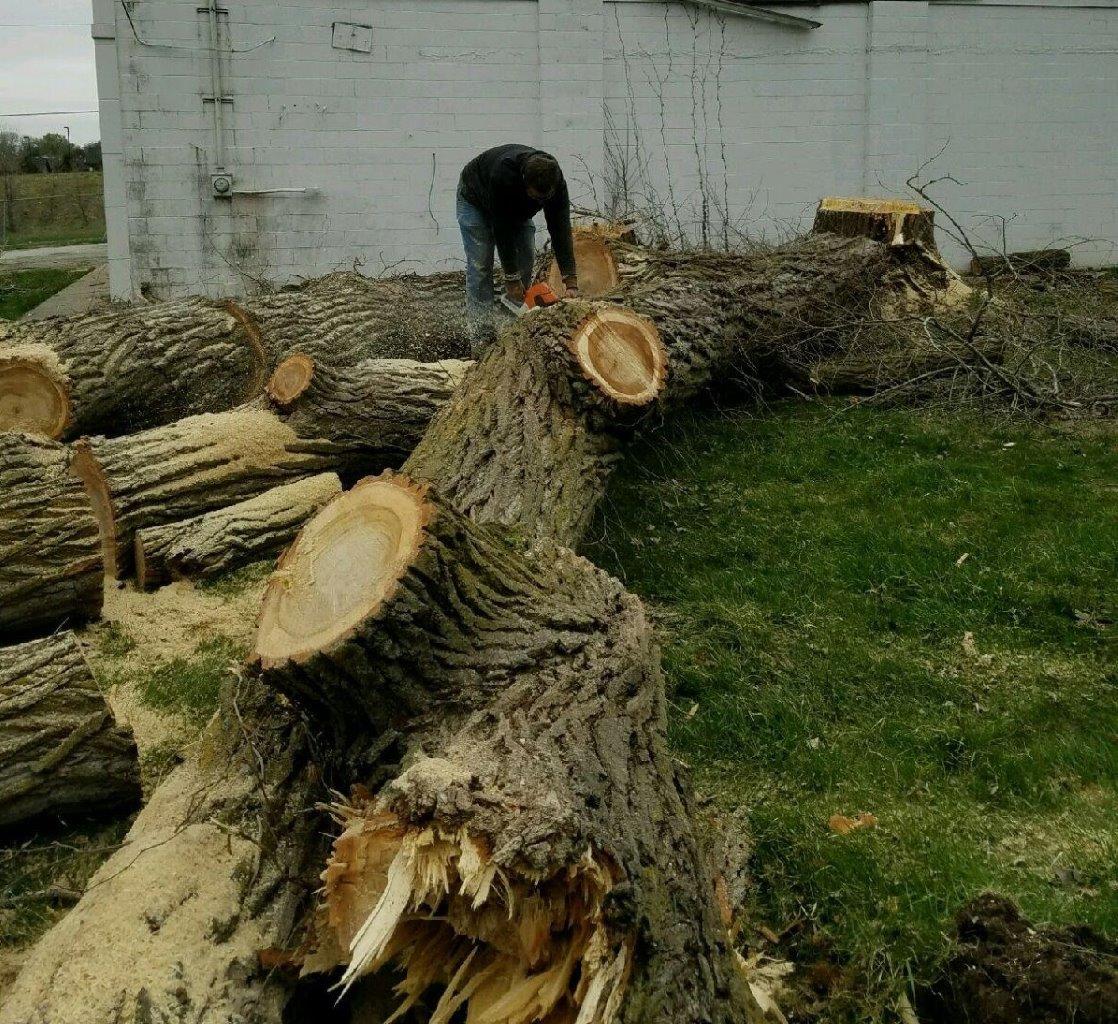 Tree Pruning